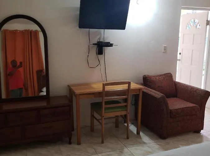 Wizzy Apartment Montego Bay