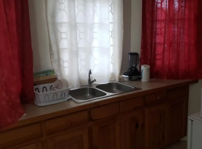 Wizzy Apartment Montego Bay